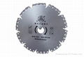 Genedal Purpose Diamond Chip Saw 1