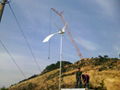 small wind turbine 600w for home use