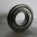 10 years distributor-SKF deep groove ball bearing 1