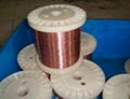 Copper Nickel Wire alloy wire 1