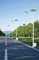 2012 New super Brightness LED Solar Street Light 1