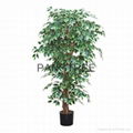 artificial ficus 2