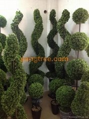artificial boxwood topiary
