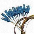 SC/UPC-SC/UPC-SM9/125 Fiber-optic Pigtail with 12 Cores Fan-out