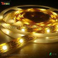 IP68 Waterproof SMD5050 60LED/M LED Strip light 1