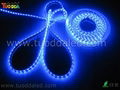 Non-waterproof SMD5050 60LED/M LED Strip