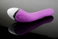 20 Speeds Dual Vibration G spot Vibrator, Vibrating Stick,Sex toys for Woman, 3