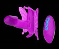 Double vibrating butterfly 1