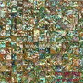 Abalone Shjell Mosaic 1