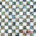 Abalone Shjell Mosaic 3