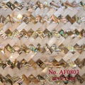 Abalone Shjell Mosaic 4