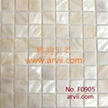 shell wall tile 1