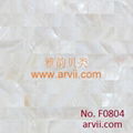 shell wall tile 1