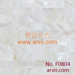 shell wall tile