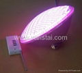 33W LED PAR56(CE&RoHS,IP68)pool light 12v foshan light 1