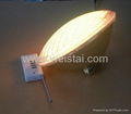 33W LED PAR56(CE&RoHS,IP68)pool light 12v foshan light 3
