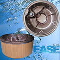 2013 new spa E-310S chocolate whirlpool massage  bathbub 1