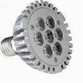 PAR30 LED Spotlight Bulb