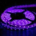 Waterproof SMD5050 Purple Flexible Led Strip Light/30 or 60Leds/M