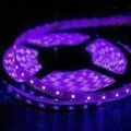 Waterproof SMD5050 Purple Flexible Led