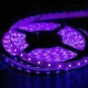 Waterproof SMD5050 Purple Flexible Led Strip Light/30 or 60Leds/M