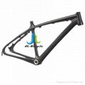 JLFR-M002 26" Monocoque MTB Frame