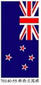 Flag Terry Velour Beach Towel 5