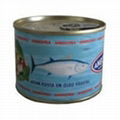 Canned Tuna in Soybean Oil