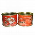 Canned Tomato Paste