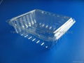 Fruit Plastic Tray