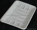 Plastic Tray For Vegetable