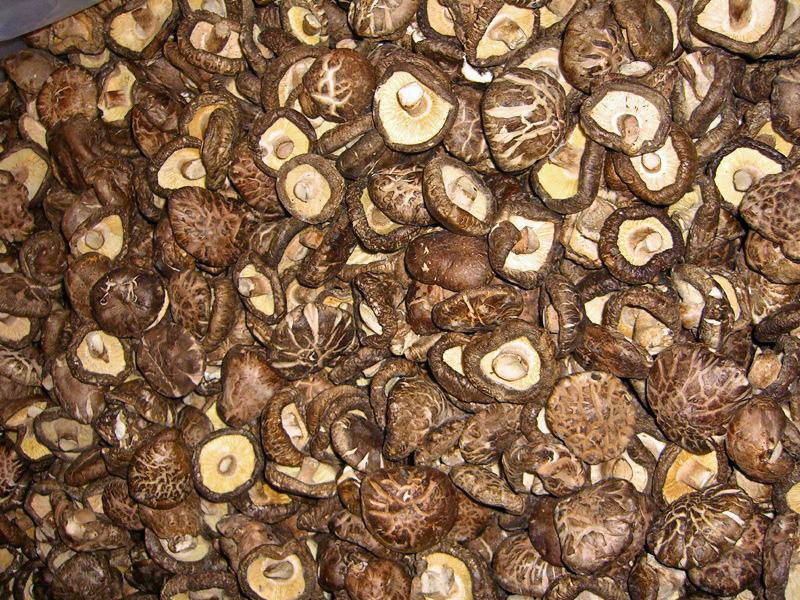 dried mushroom