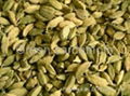 Cardamom 1