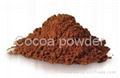 Cocoa powder