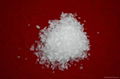 saturated polyester resin for powder