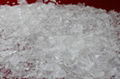 saturated polyester resin for powder coating P1501-2 1