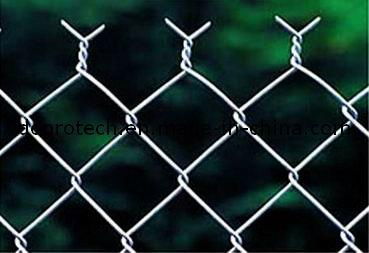 Diamond Wire Mesh/ Galvanized Diamond Wire Mesh/ PVC Coated Chain Link Fence