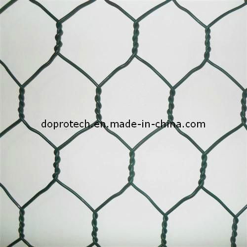 Hexagonal Wire Mesh/ Hexagonal Wire Netting
