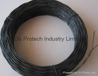 Double Twisted Annealed Wire 2