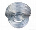 Galvanized Wire/ Annealed Wire