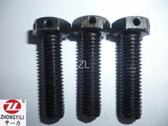black hex bolt with hole