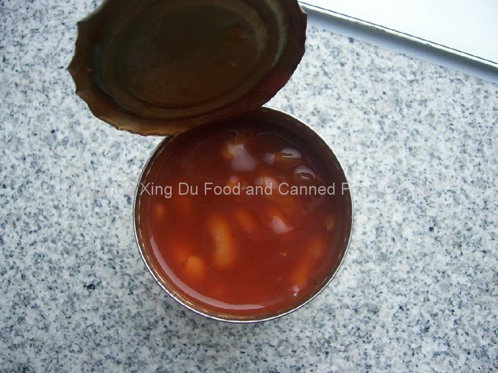 canned red kidney beans  2