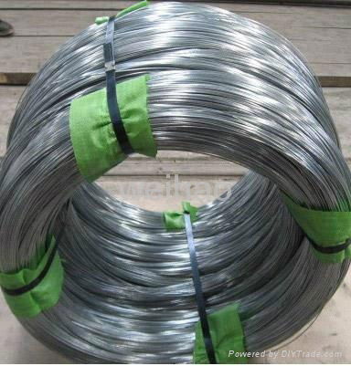 ELECTRO GALVANIZED WIRE 5