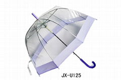 transparent umbrella