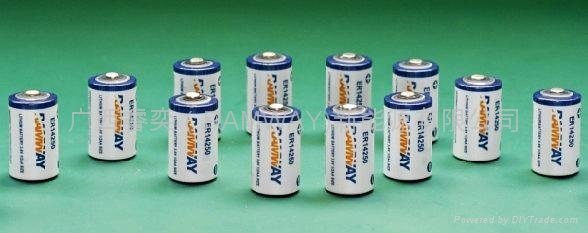 ER14250,1/2AA primary lithium battery 2