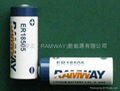 ER18505,Primary lithium battery with 3.6V 2