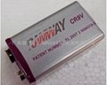 ER9V,CR9V lithium batteries for smoke alarm systems