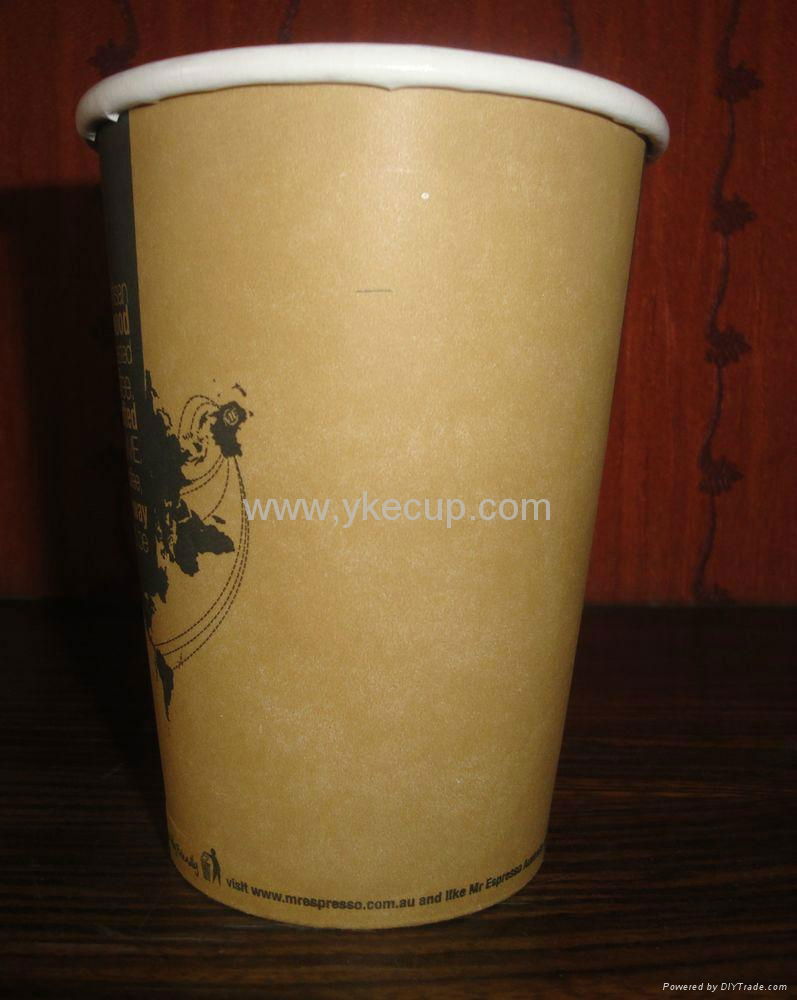 biodegradable paper cup