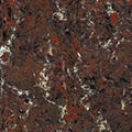  Porcelain Polished Tiles  1