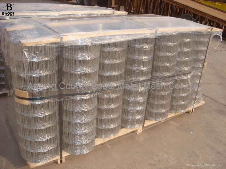 Welded wire mesh 4